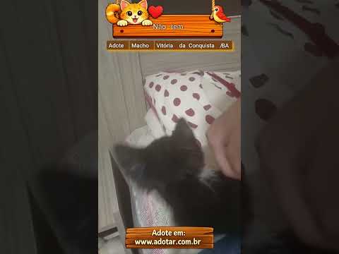 Vídeo de Não tem 