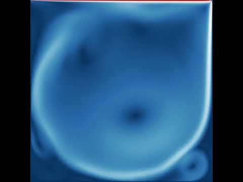 基礎理工学科 The simulation of Cavity flow by the lattice Boltzmann method with Re=5000