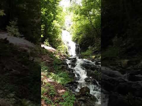 Cascada Săritoare -Stanija ,jud.Hunedoara