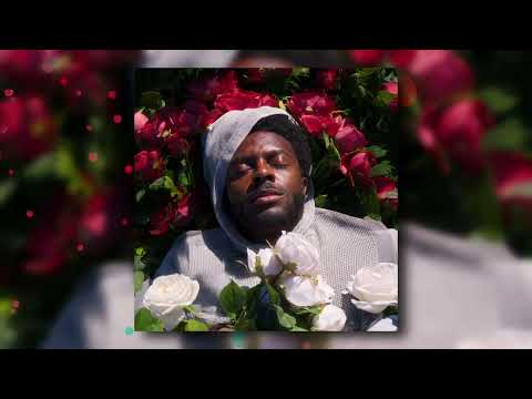 Stuck In The Roses (Official Audio)