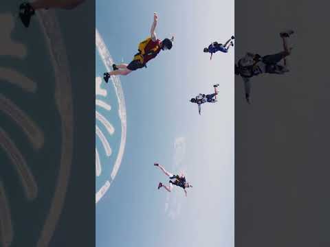 Sheikh Hamdan skydives in Dubai