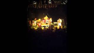 Carbon leaf raise the roof