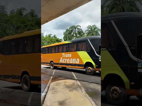 TRANS ACREANA NA RIO BRANCO X BOCA DO ACRE #shorts