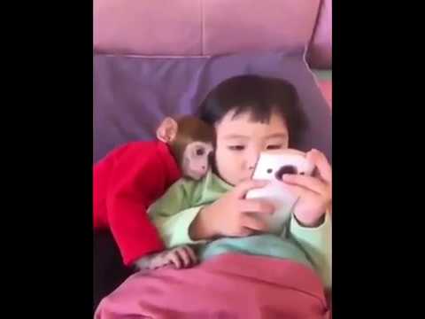 Çocuk ve en yakın arkadaşı Maymun