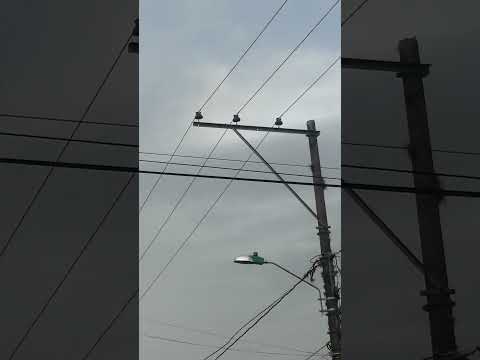 Lago Calima valle del Cauca Colombia