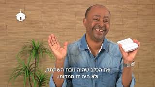 Mamuye Tzazu Zerie זכרונות מאתיופיה - ממויה תזזו זרה