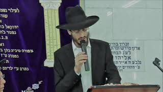 ברית מילה - מעלת ברית מילה - הרב ינון עובדיה ברכה (הרב ינון עובדיה ברכה) - התמונה מוצגת ישירות מתוך אתר האינטרנט יוטיוב. זכויות היוצרים בתמונה שייכות ליוצרה. קישור קרדיט למקור התוכן נמצא בתוך דף הסרטון