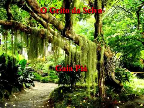Grito Da Selva - Gaia Piá