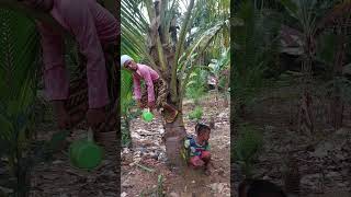 Download lagu nenek gayung #shorts mp3