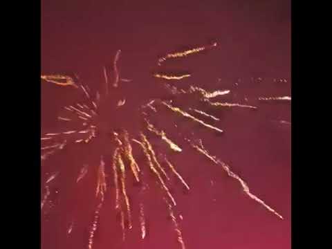 Gender Reveal -- Meisje