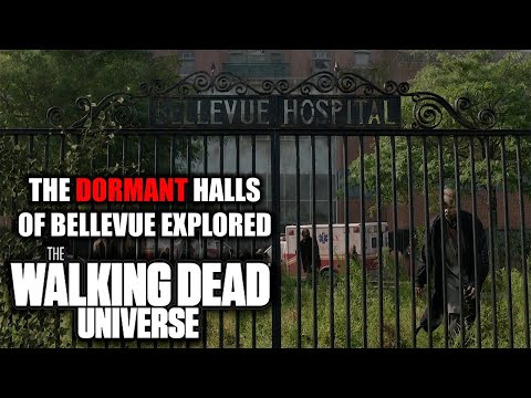 The Dormant Halls of Bellevue Hospital Explored | The Walking Dead Universe Lore