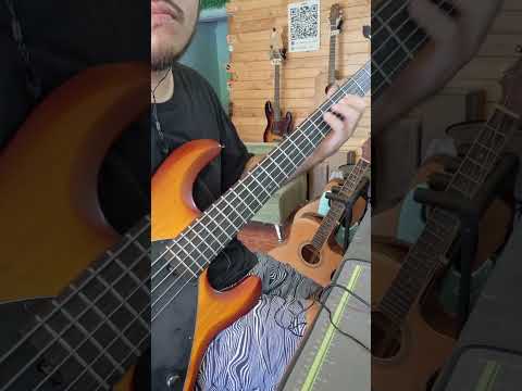 stringray 3Eq basspreamp sound test #bass #เบส #basspreamp