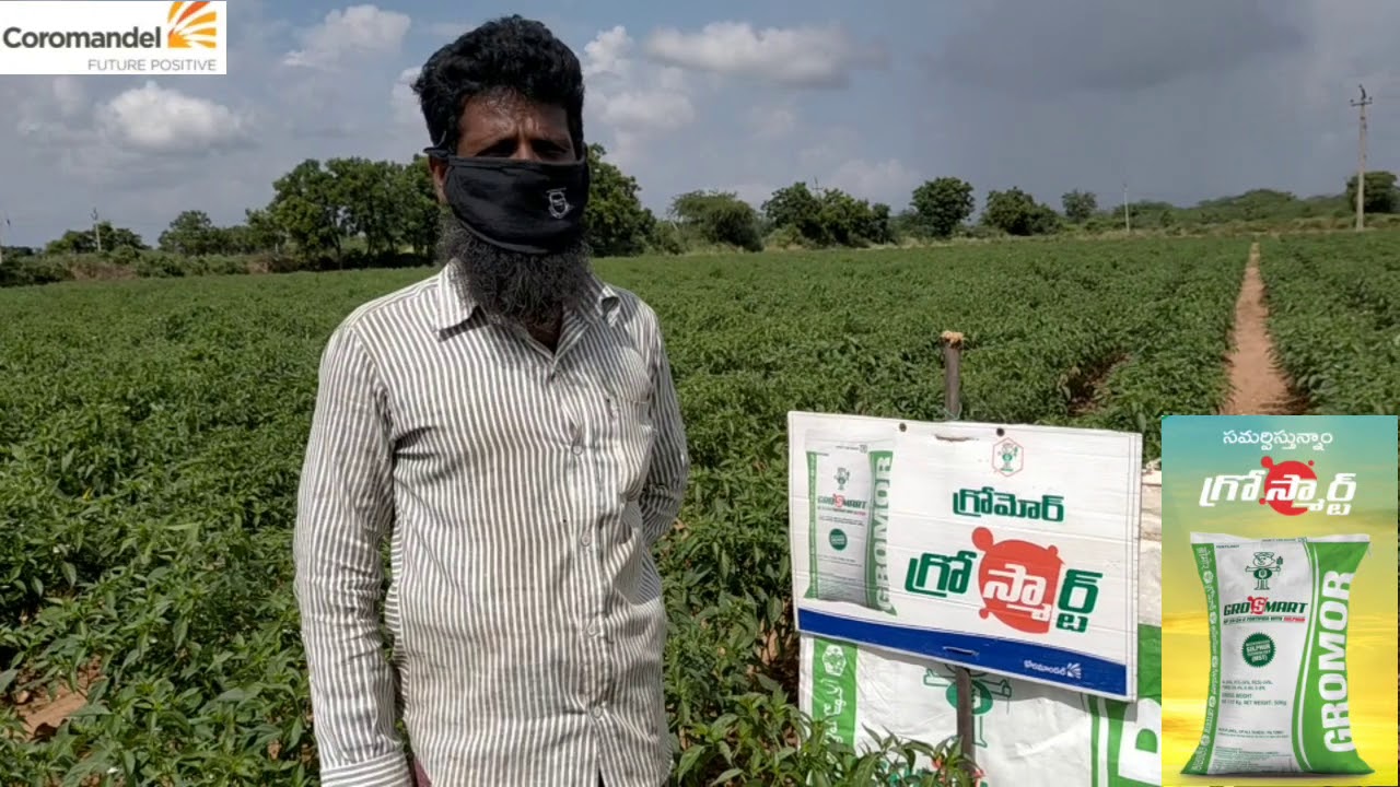 Watch video grosmart 24-24-0-08 Coromandel Now grosmart 24-24-0-08 Coromandel