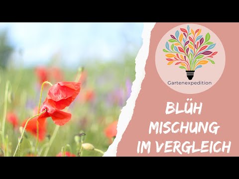 Wildblumenmischung vs. Agro-Mix: Der große Praxis-Vergleich für deinen Garten