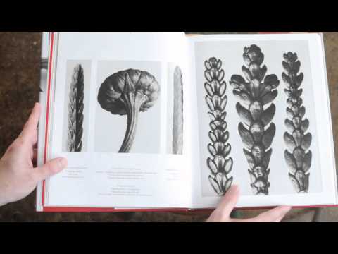 download lagu mp3 mp4 Karl Blossfeldt Artwork, download lagu Karl Blossfeldt Artwork gratis, unduh video klip Karl Blossfeldt Artwork
