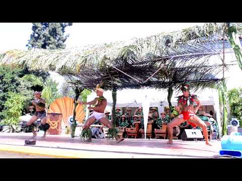 ITO 2017 - Tane Prelims 25-34