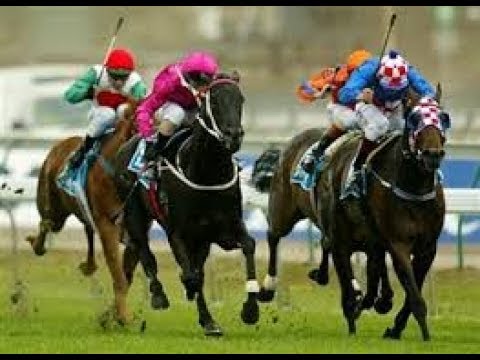 2002 VRC L K S Mackinnon Stakes ( Now Emirates Stakes )