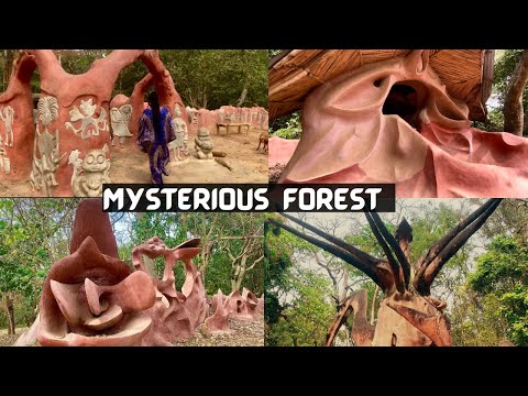 Osun Osogbo Festival | Community Health