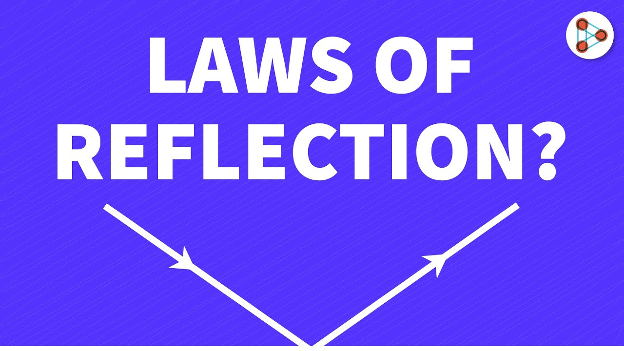 Laws of Reflection of Light? | #Shorts #YouTubeShorts #LawsOfReflection| Don't Memorise