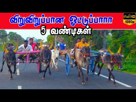 புதுக்கோட்டை (மா) கூத்தங்குடி  பந்தயம்||11/09/2021||  Kuthankudi panthayam krish rekalaa rac