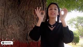 what is digital citizenship? IP law |by Sara iqbal khan|