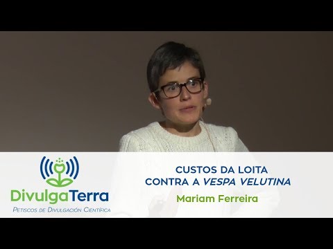 Vídeo: Custos da loita contra a Vespa velutina