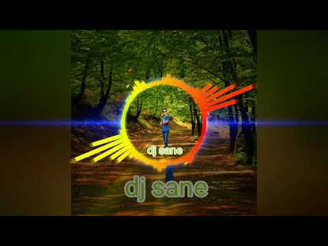 ding dang (dj sane)