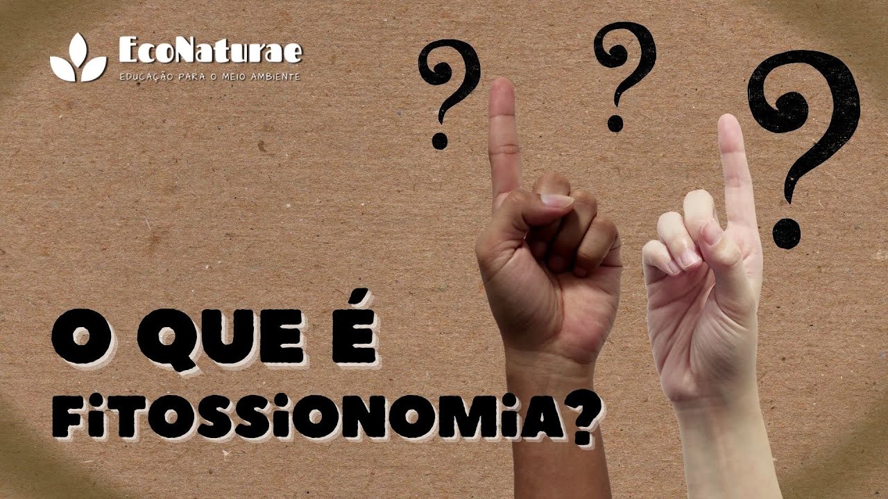 Fitofisionomia - EcoNaturae Explica #013