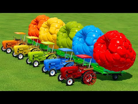 LOAD AND TRANSPORT GIANT RASPBERRY WITH MINI PORSCHE TRACTORS - Farming Simulator 22