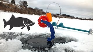 Атака щуки на жерлицы в феврале