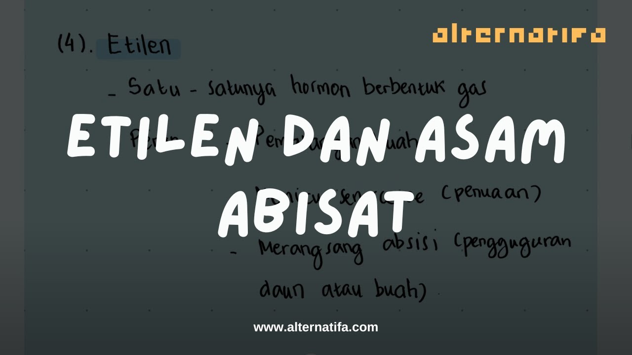 Fisiologi Tumbuhan: Etilen dan Asam Absisat | Biologi | Alternatifa