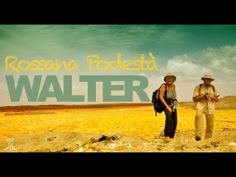 W di Walter (2013)