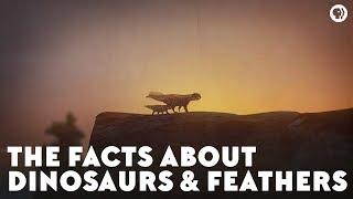 The Facts About Dinosaurs &amp; Feathers