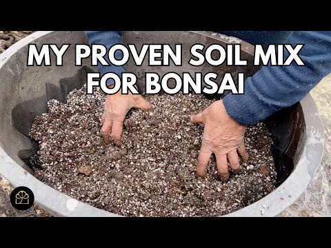 My Proven Soil Mix for Bonsai | Bonsai Heirloom