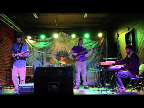 The Jauntee - Puppy in My Pocket - 3/21/2013