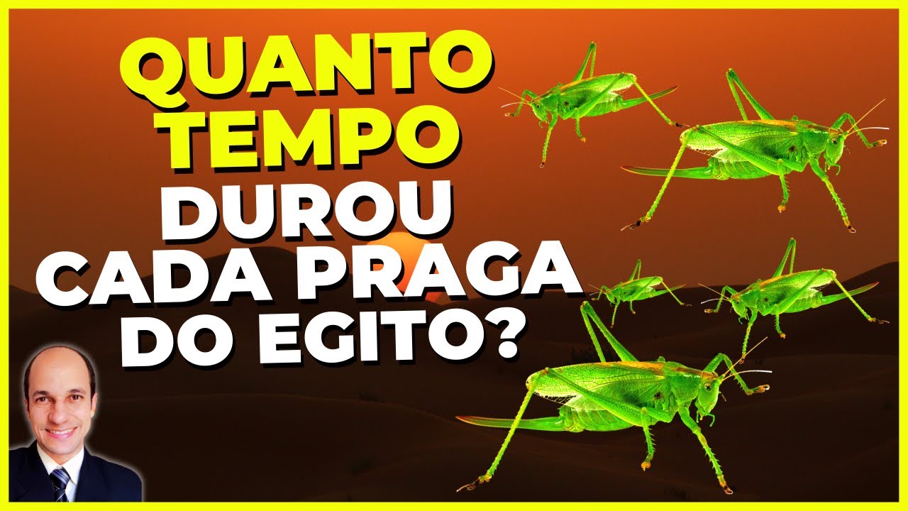 Quanto TEMPO DUROU cada uma das 10 pragas do Egito?
