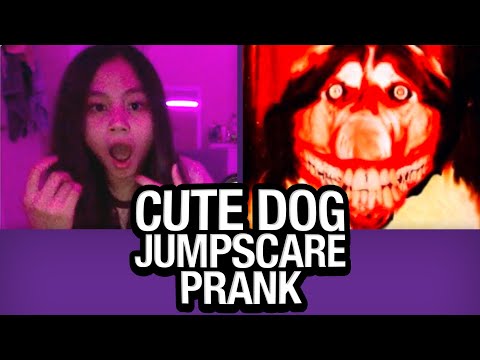 Cute Dog JUMPSCARE PRANK on Omegle!