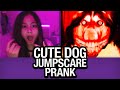 Cute Dog JUMPSCARE PRANK On Omegle
