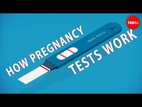 Jak fungují těhotenské testy?