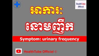 អាការៈ នោមញឹក l Symptom urinary frequency l បញ្ហាប្រដាប់ទឹកម៉ូត្រ l  @healthtubeofficial