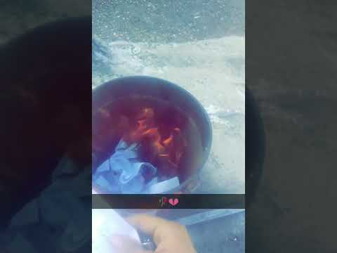 haron_mou’s Video 156539725560 aOgZUKZ6DYM