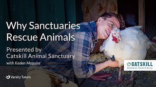 Varsity Tutors' StarCourse - Why Sanctuaries Rescue Animals with CATSKILL ANIMAL SANCTUARY