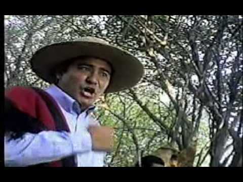 Dalmiro Cuellar - Costumbres de mi tierra