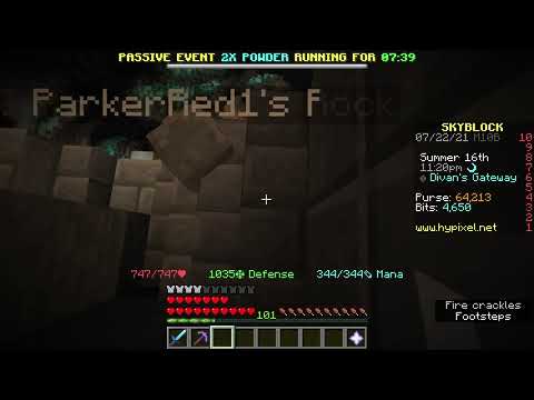 Strange Rock Pet Bug Hypixel Skyblock