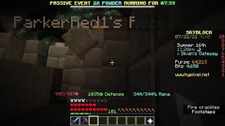 Strange Rock Pet Bug (Hypixel Skyblock)