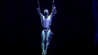 Let Me Fall Cirque Du Soleil