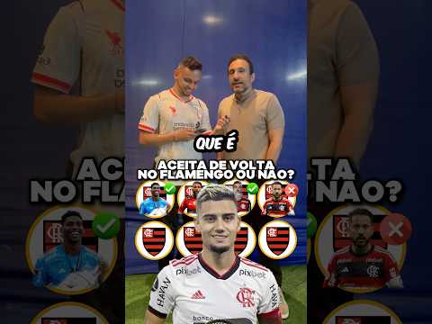 Aceita de volta no Flamengo ou não! #futebol #brasileirão #flamengo #mengao #futebolbrasileiro