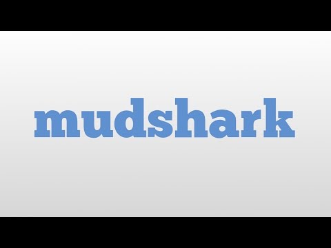 Urban Dictionary Mudshark