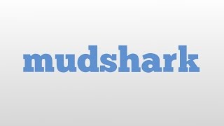 mudshark meaning and pronunciation