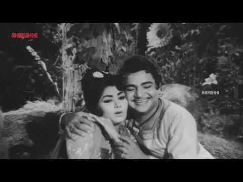 Padmanabham, Relangi, Allu Ramalingayya Comedy Scenes | NTR, Rajasri, Rajanala, Vanisri |